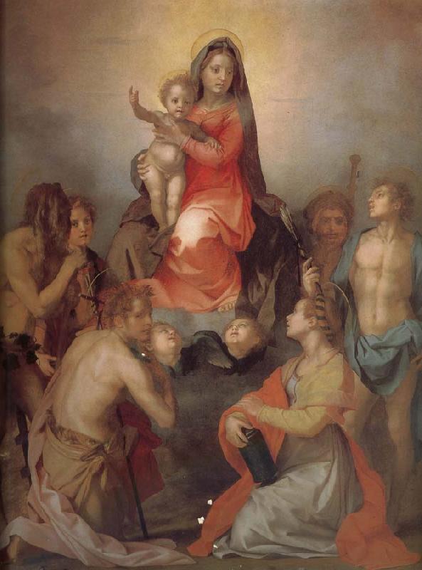 Andrea del Sarto The Virgin and Child with Saints oil painting image